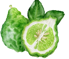 ベルガモット果実の画像。